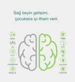 Dijital Yazı ve Çizim Tableti - Görsel 3